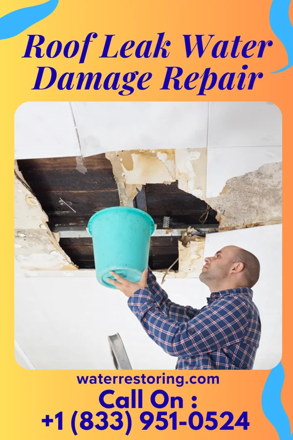 Roof Leak Water Damage Repair in Moapa Valley, NV